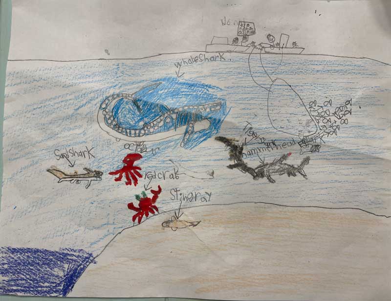 Creative Kids Art Gallery 244