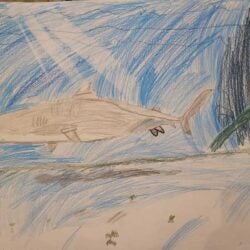 Creative Kids Art Gallery 2022 11