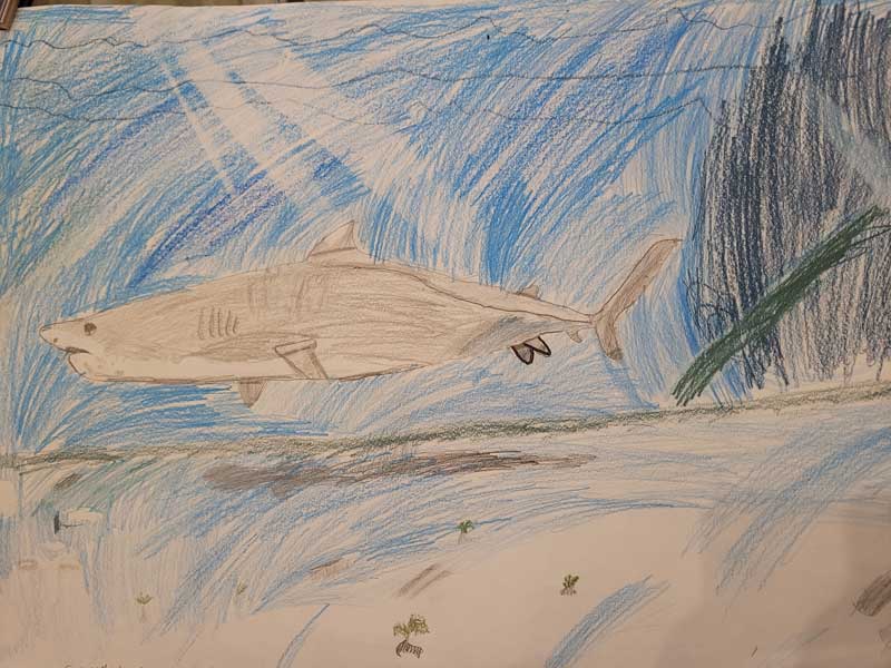 Creative Kids Art Gallery 2022 11