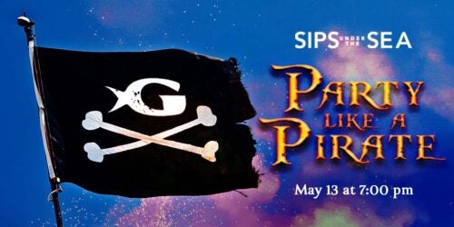 Sips Under the Sea - Pirate Party