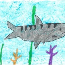 Creative Kids Art Gallery 2022 16