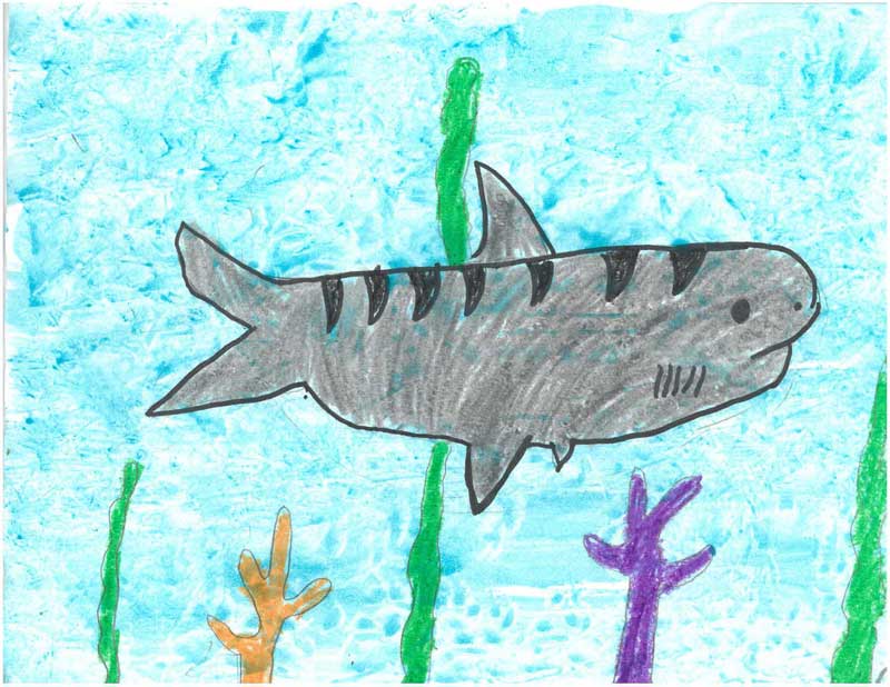 Creative Kids Art Gallery 2022 16
