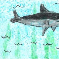 Creative Kids Art Gallery 2022 18