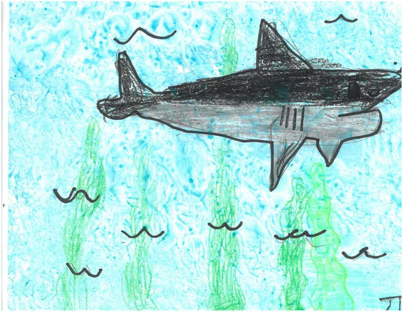 Creative Kids Art Gallery 2022 18