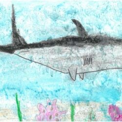 Creative Kids Art Gallery 2022 24