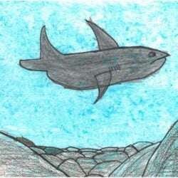 Creative Kids Art Gallery 2022 25