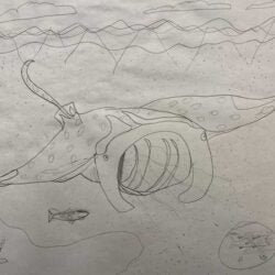 Creative Kids Art Gallery 2022 43