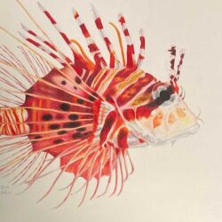 Creative Kids Art Gallery 2022 47