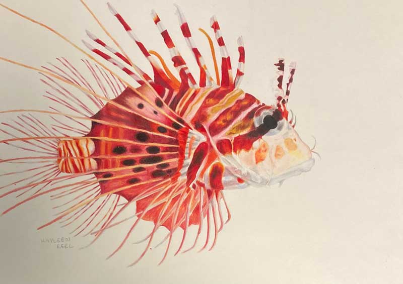 Creative Kids Art Gallery 2022 47