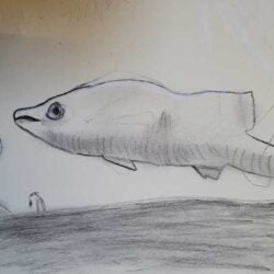 Creative Kids Art Gallery 2022 51