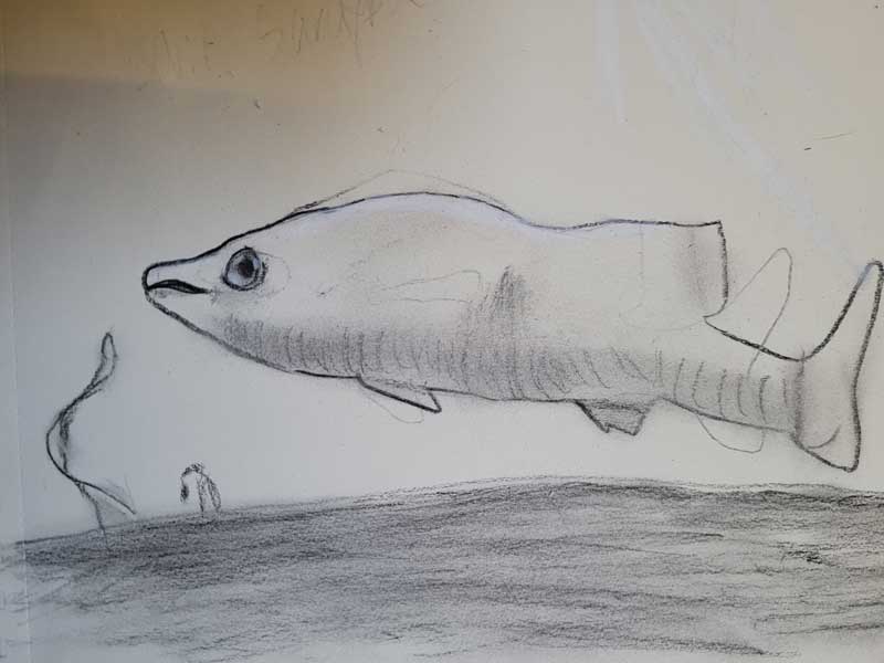 Creative Kids Art Gallery 2022 51
