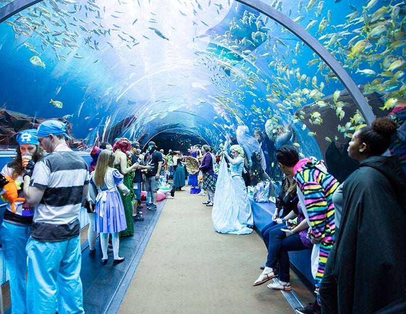 Dragon Con Night SOLD OUT September 3, 2022 Aquarium