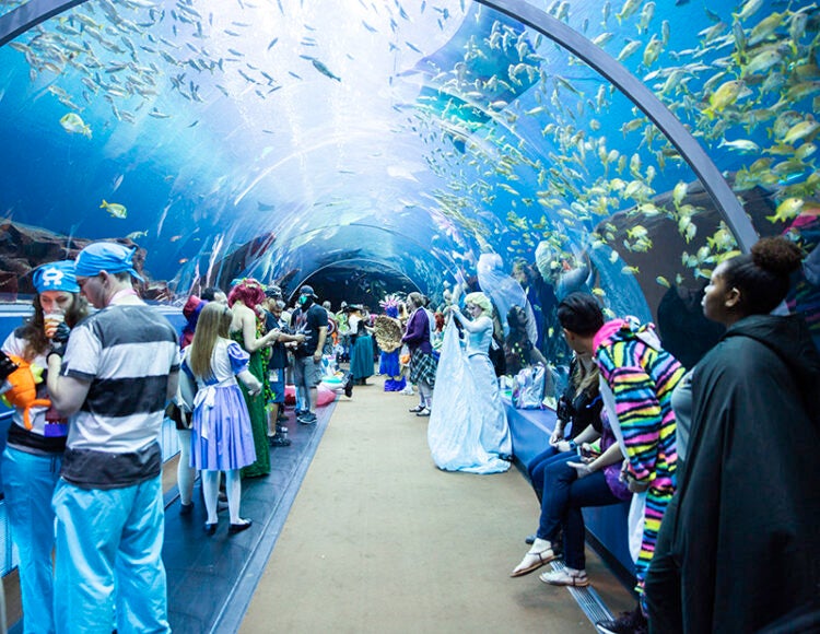 Dragon Con Night August 31, 2024 Aquarium