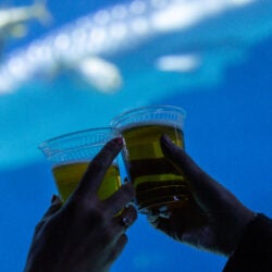 20,000 Beers Under the Sea 17
