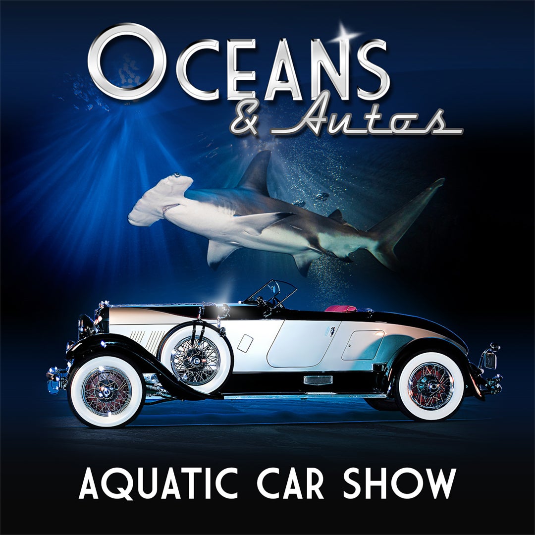 Aquarium Event Calendar Aquarium