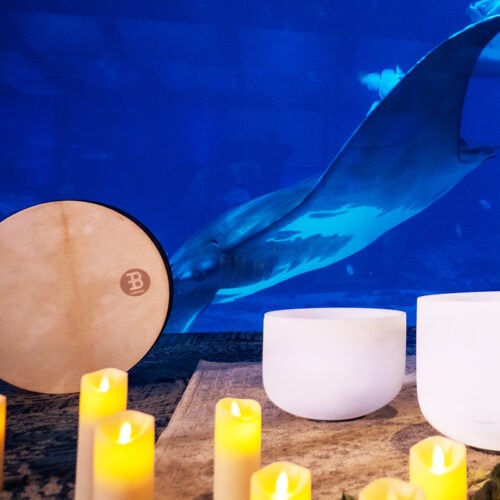 Unwind by the Water – Sound Bath 8