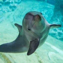 World Ocean Day 2022 2