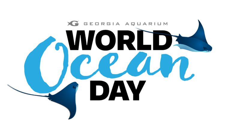 World Ocean Day 2022 4