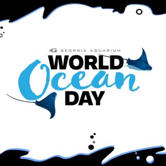 World Ocean Day 2022 5