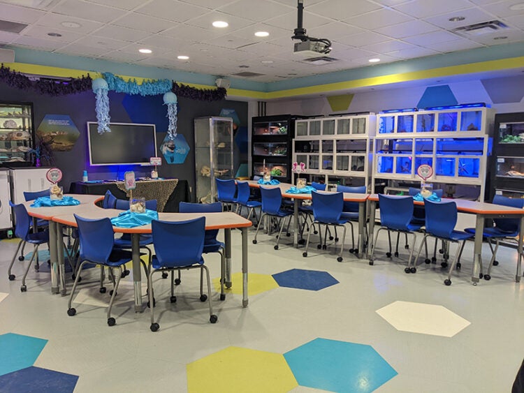 Kids Birthday Parties Aquarium