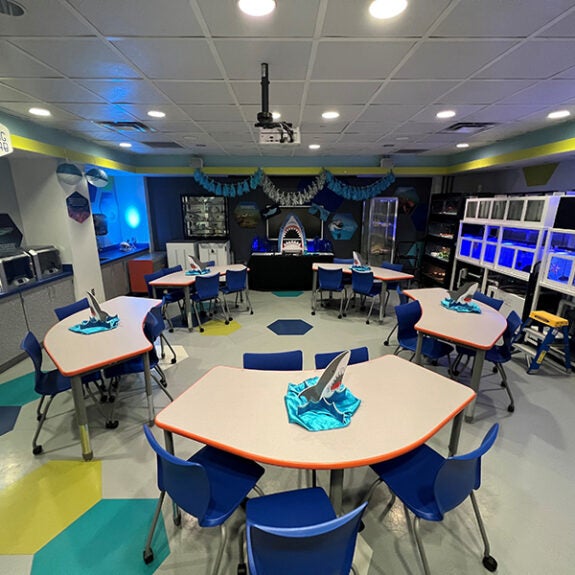 Kids Birthday Parties Aquarium