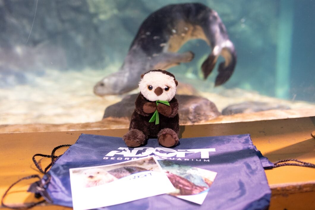 Adopt a Sea Otter