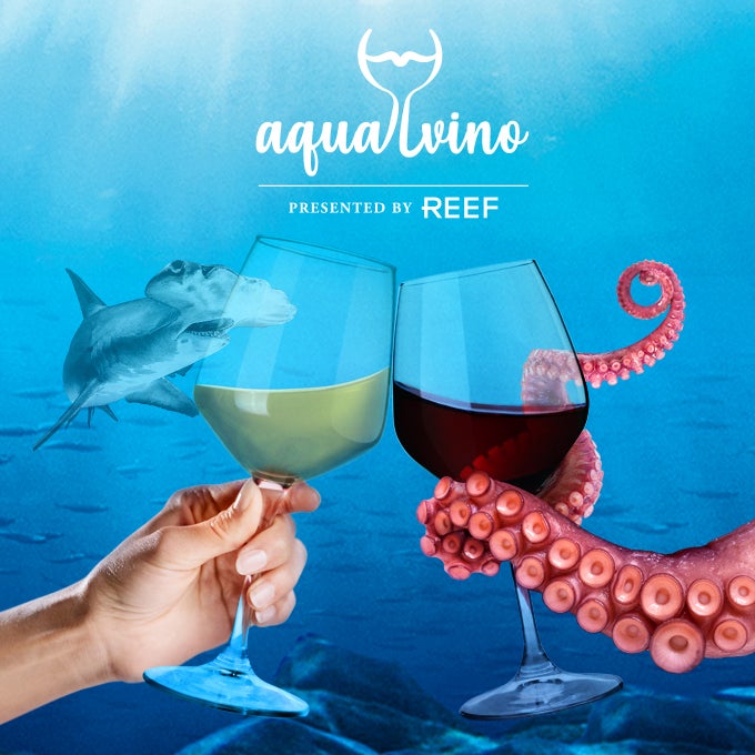 Aqua Vino 2022