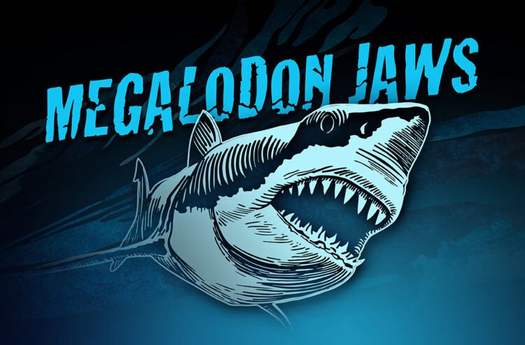 The Megalodon Shark (Otodus Megalodon) - Georgia Aquarium