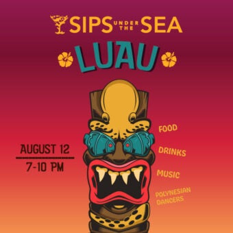 Sips Under the Sea: Luau 4