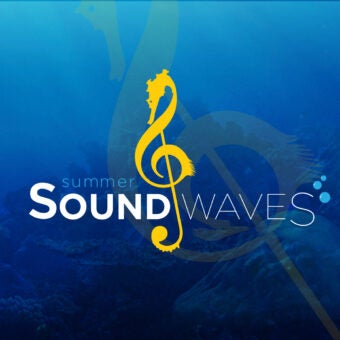 Sound Waves 7