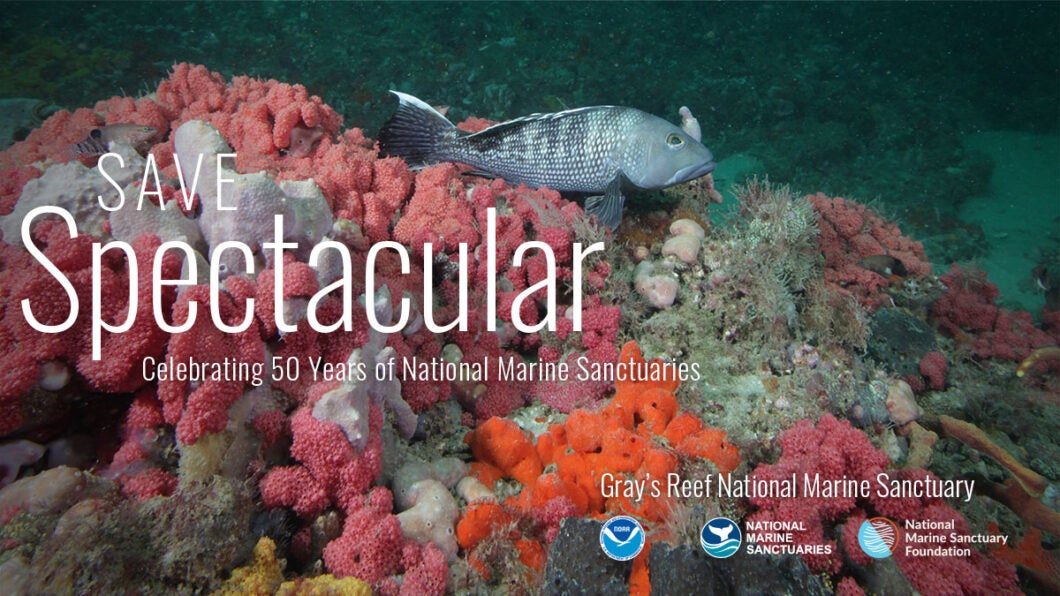 Celebrating 50 Years of National Marine Sanctuaries