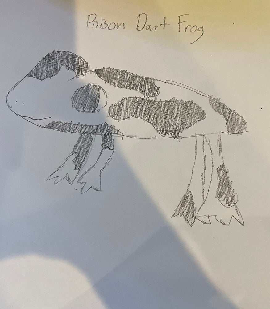 Creative Kids Art Gallery 2022 58