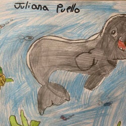 Creative Kids Art Gallery 2022 62