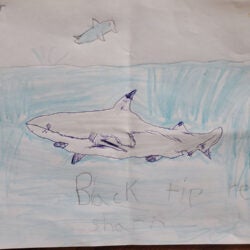 Creative Kids Art Gallery 2022 69