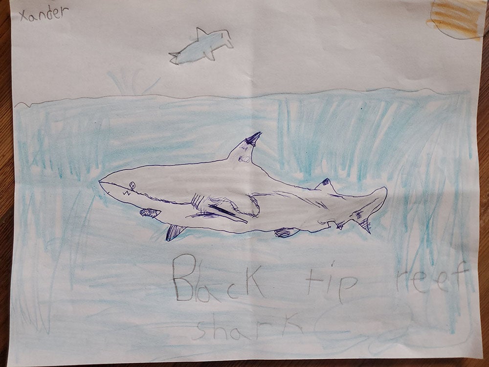 Creative Kids Art Gallery 2022 69