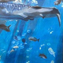 Creative Kids Art Gallery 2022 72