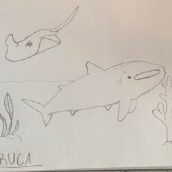 Creative Kids Art Gallery 2022 82