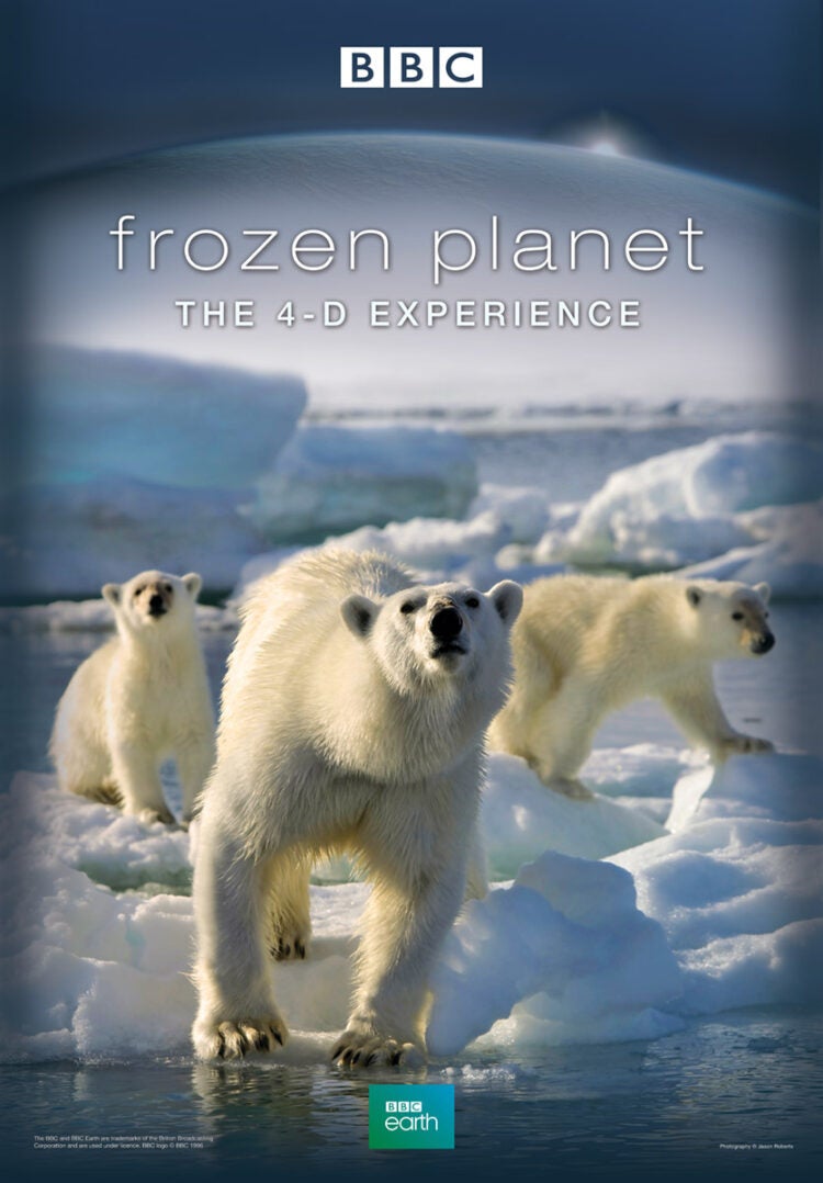 Frozen Planet: The 4D Experience 1