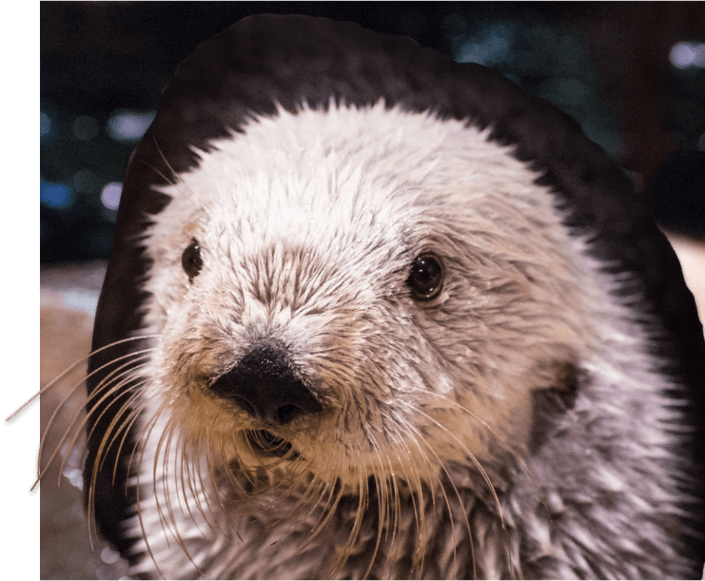 Aquarium Visit Today Aquarium in Downtown Atlanta