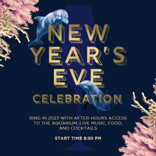 New Year's Celebration 7