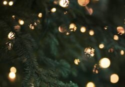 Winter Waterland 2022 2