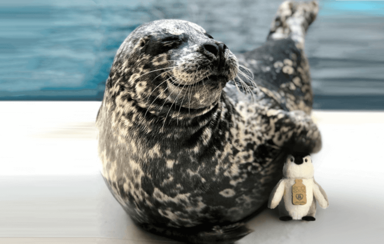 Unique holiday gift ideas