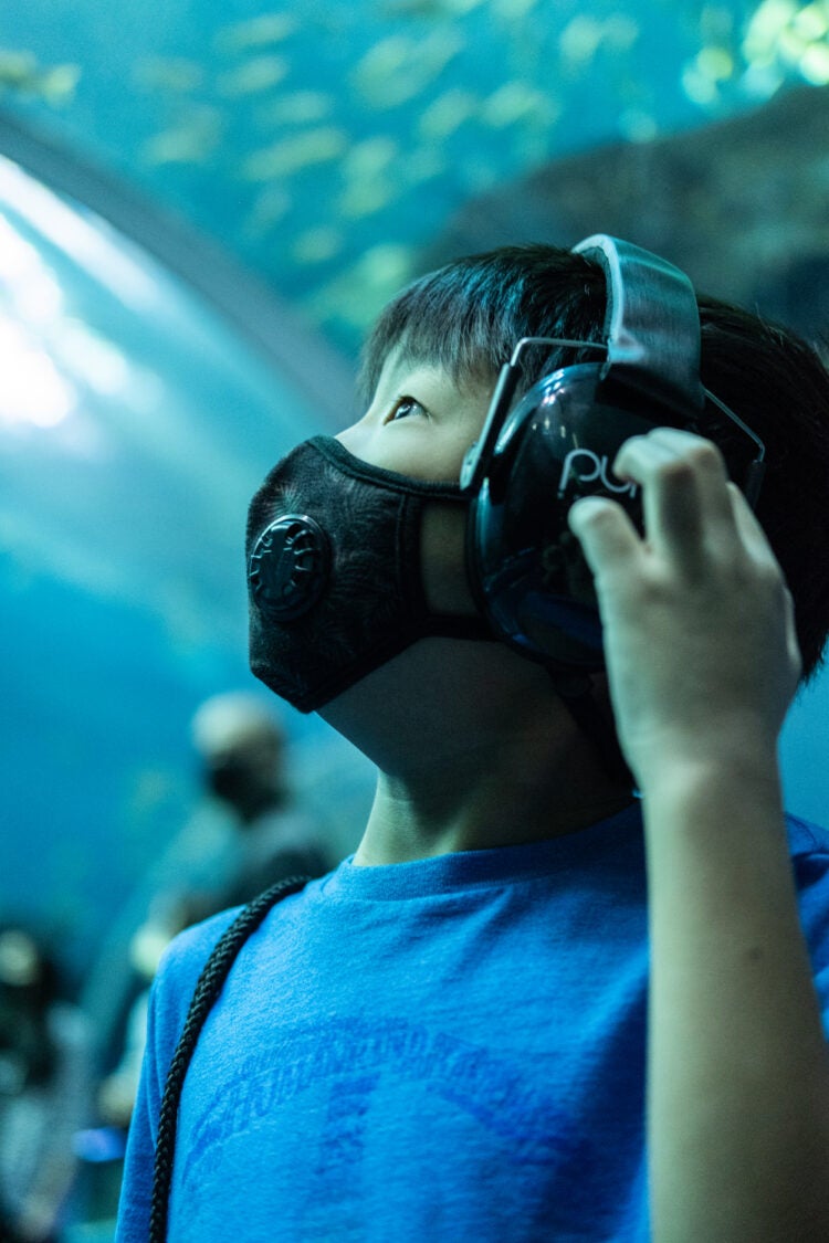 Georgia Aquarium Named KultureCity's 2022 Sensory Inclusive Venue of the Year