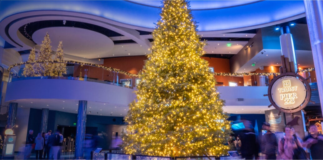 Holiday Gift Guide Georgia Aquarium Get your gifts today