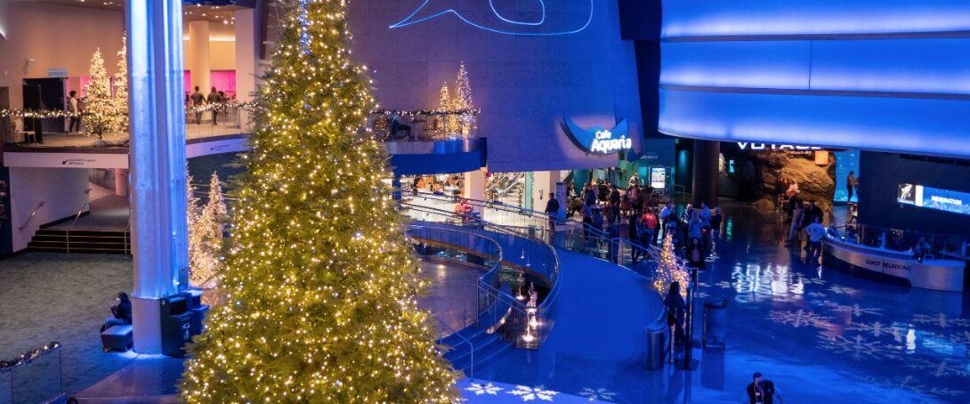 Holiday Tree Lighting