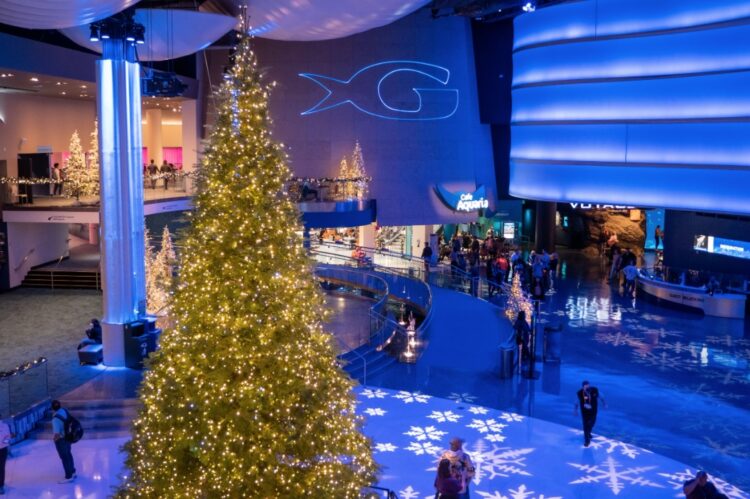 Holiday Tree Lighting