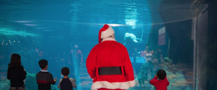 Photos with Santa Claus 2