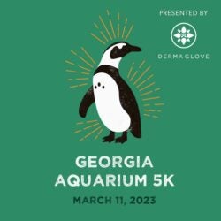 Georgia Aquarium 2023 5K 11