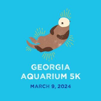 Georgia Aquarium 2024 5K 2