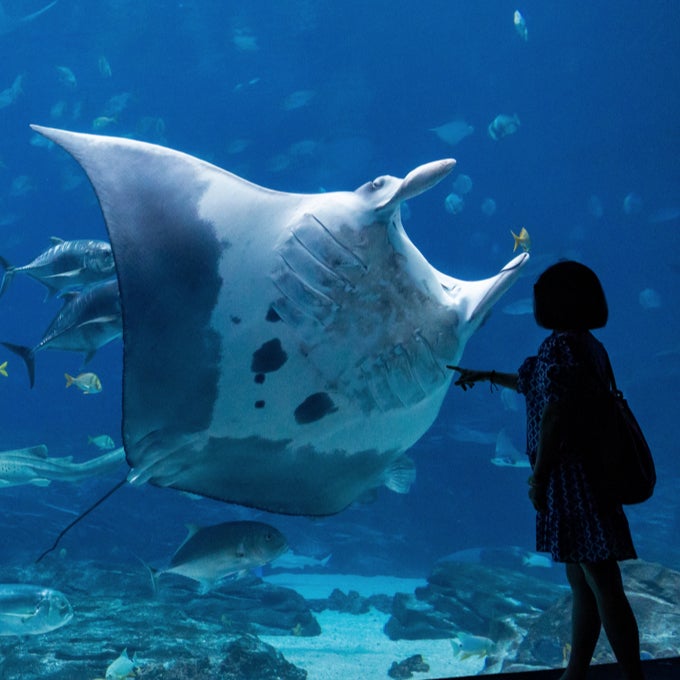 Resident Pass Aquarium